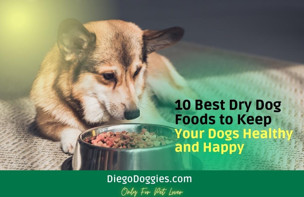 Best Dry Dog Foods