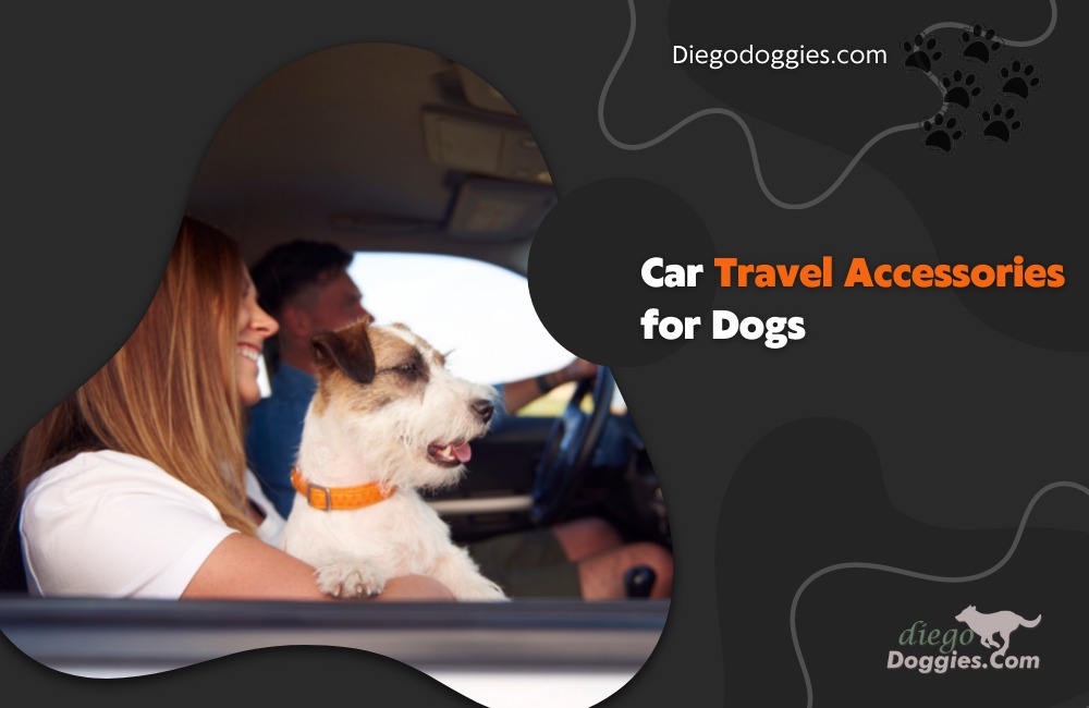 Car Travel Accessories for Dogs