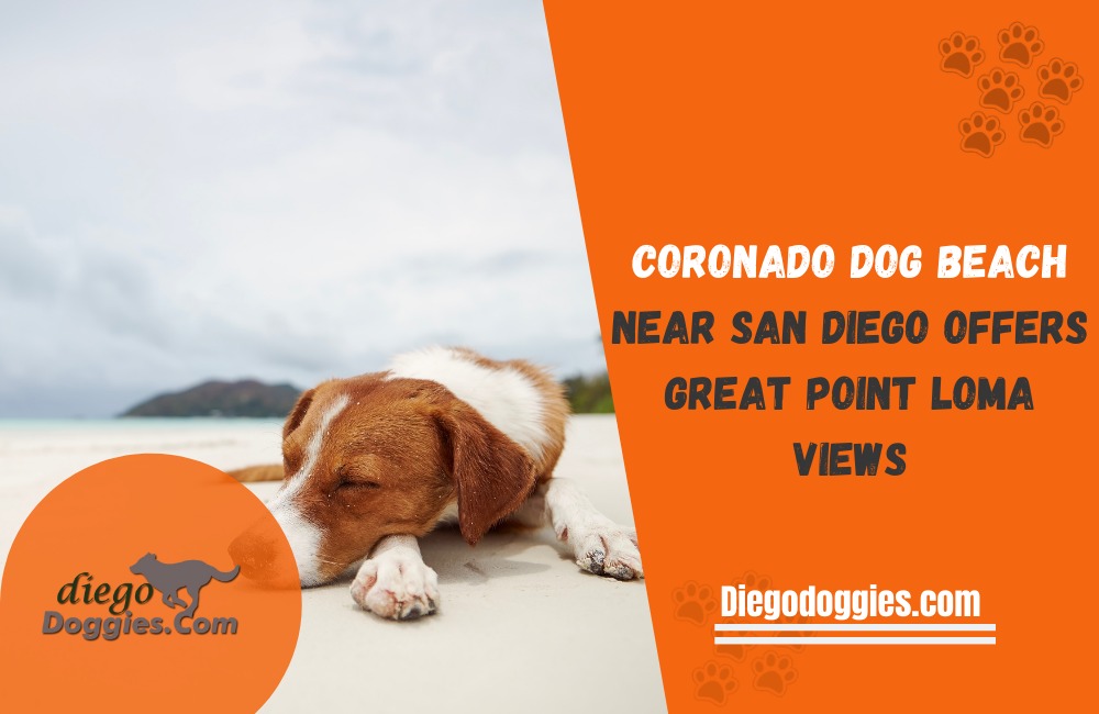 Coronado Dog Beach