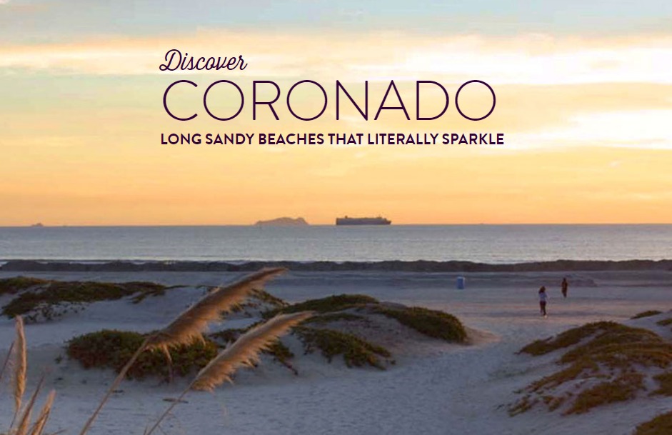 Coronado Dog Beach