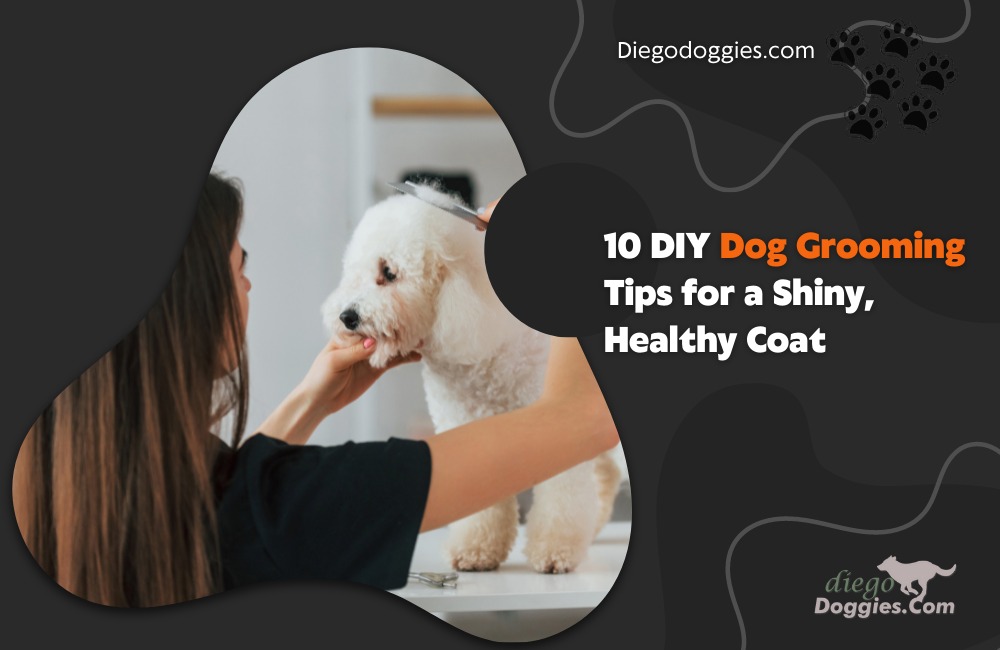DIY Dog Grooming Tips