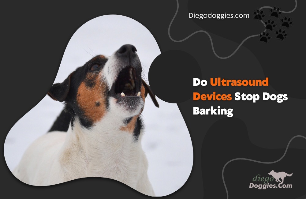 Do ultrasound devices stop dogs barking