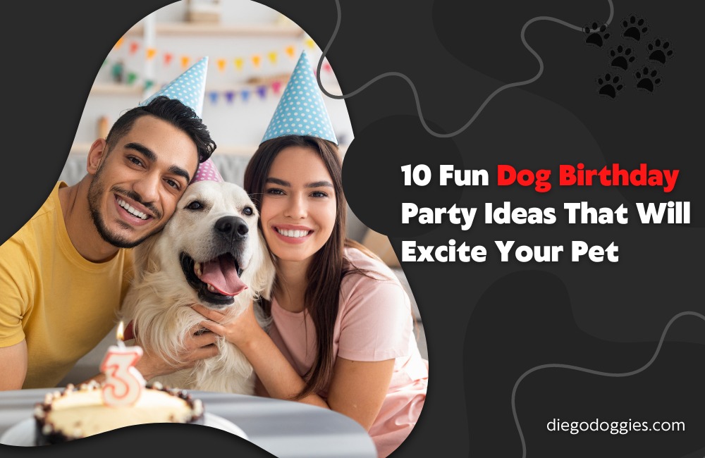 Dog Birthday Party Ideas