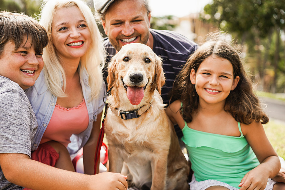 Dog Breeds for Kids and Families