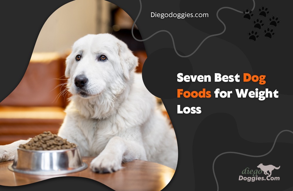 Dog Foods for Weight Loss