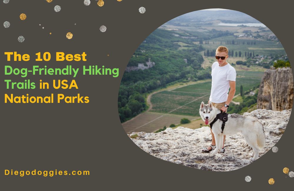 Dog Friendly Hiking Trails