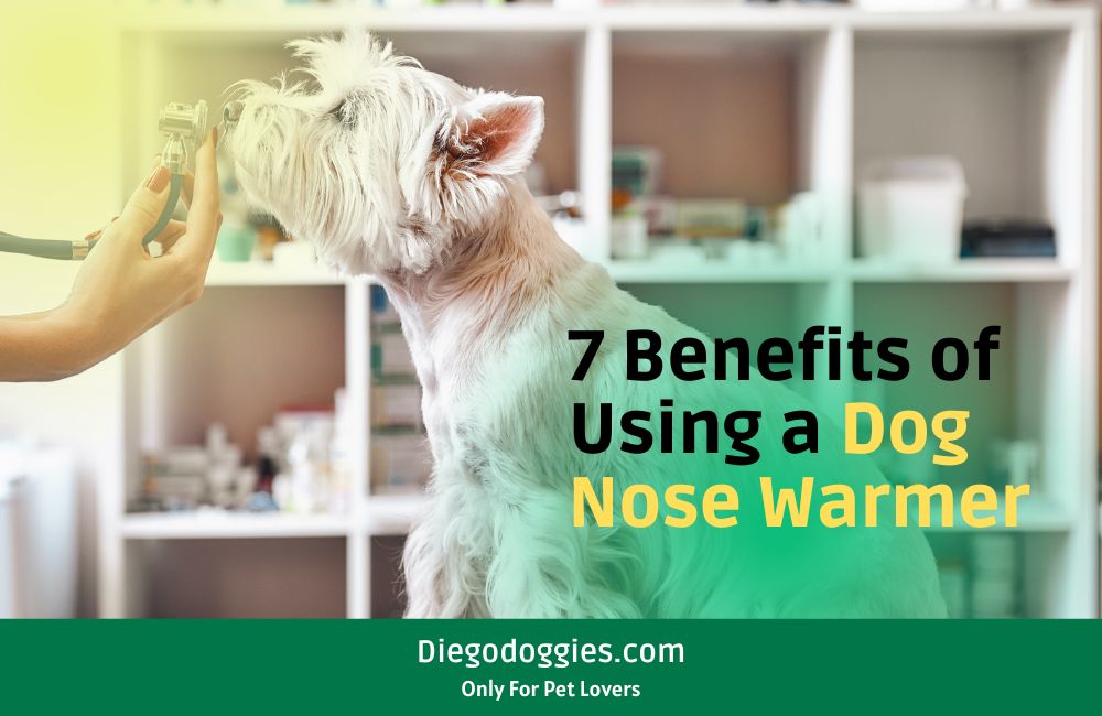 Dog Nose Warmer