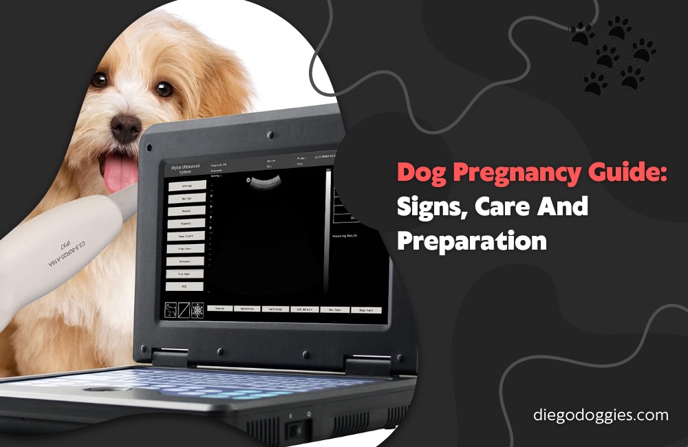 Dog Pregnancy Guide