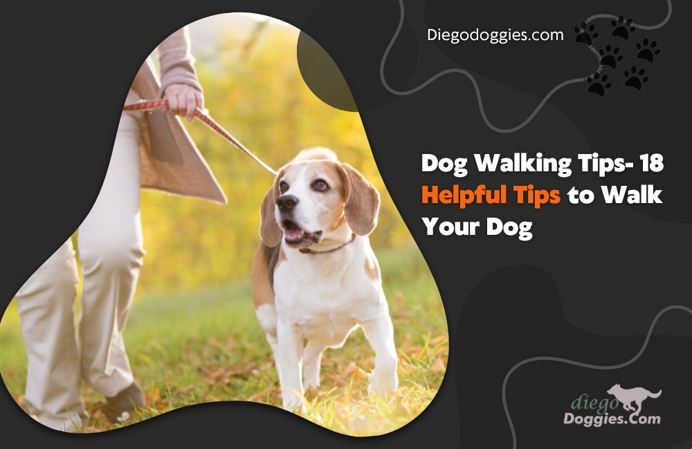 Dog Walking Tips