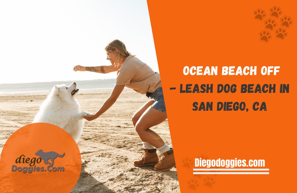 Ocean Beach Off-Leash Dog Beach
