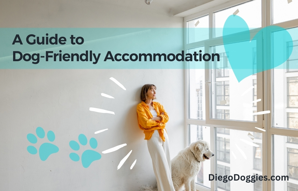 Dog friendly accommodation