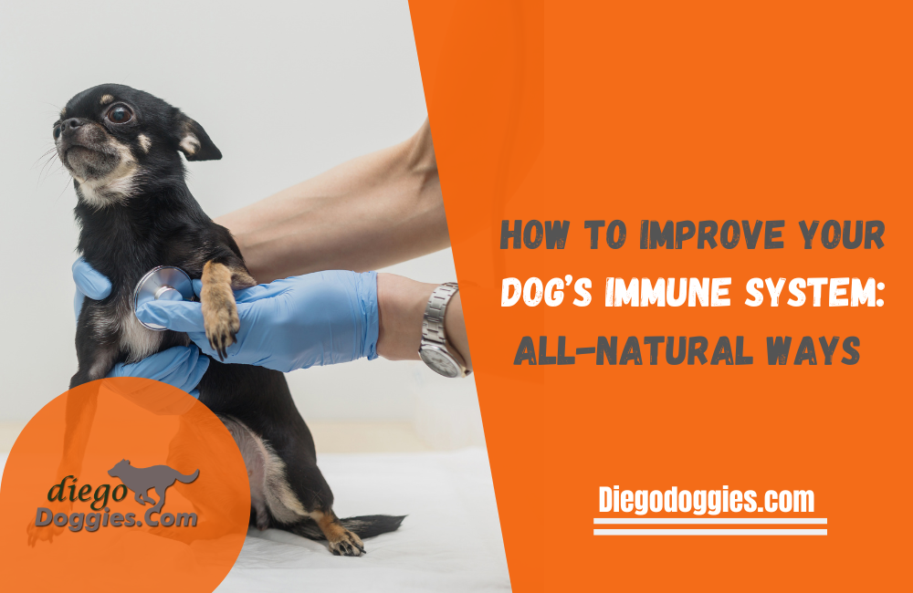 Dogs Immune System