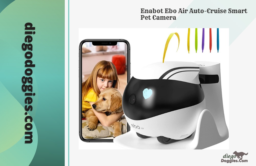 Enabot Ebo Remotely Movable Security Robot, Smart Pet Camera