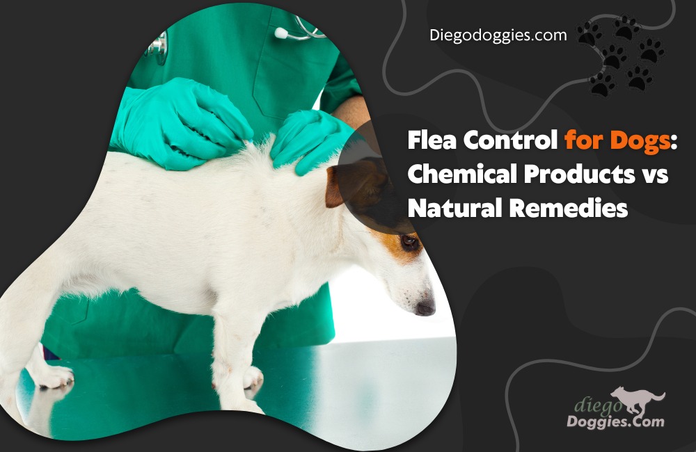 Flea Control for Dogs