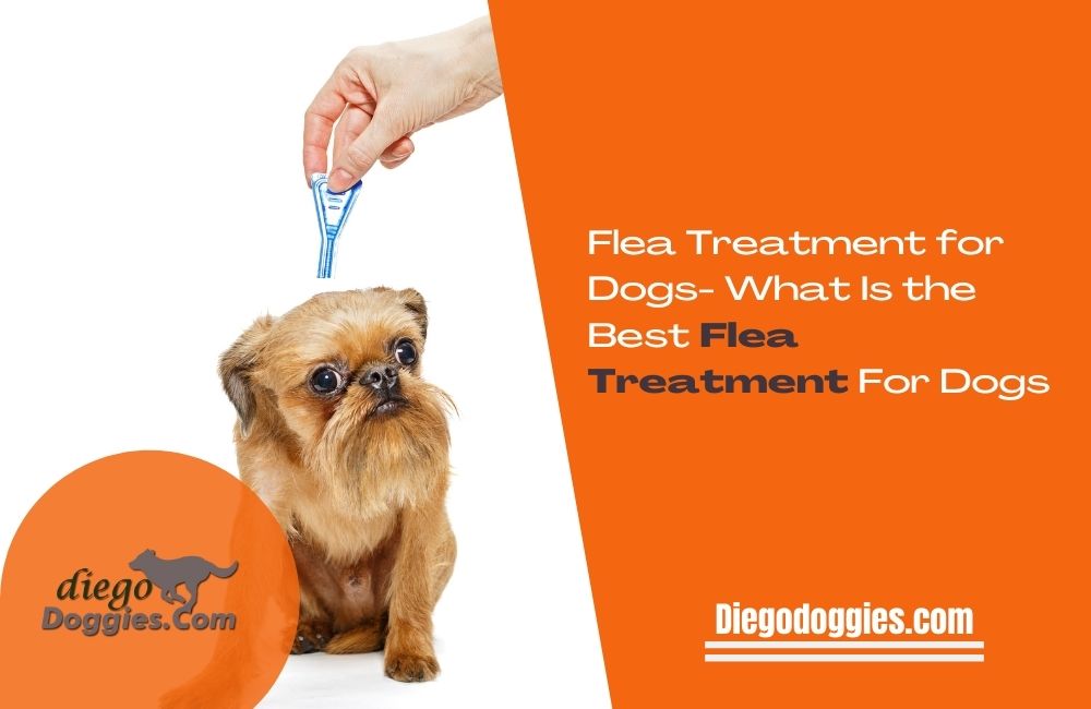 Flea treatment