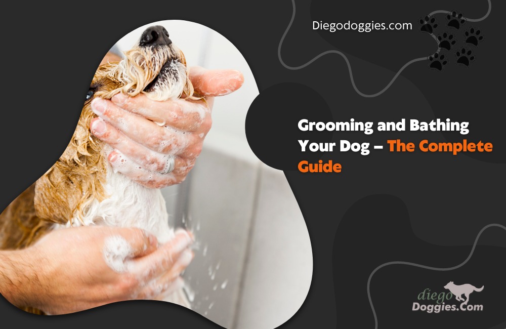 Grooming and bathing your dog