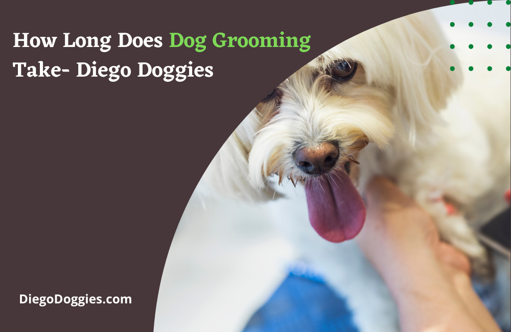 How Long Does Dog Grooming Take