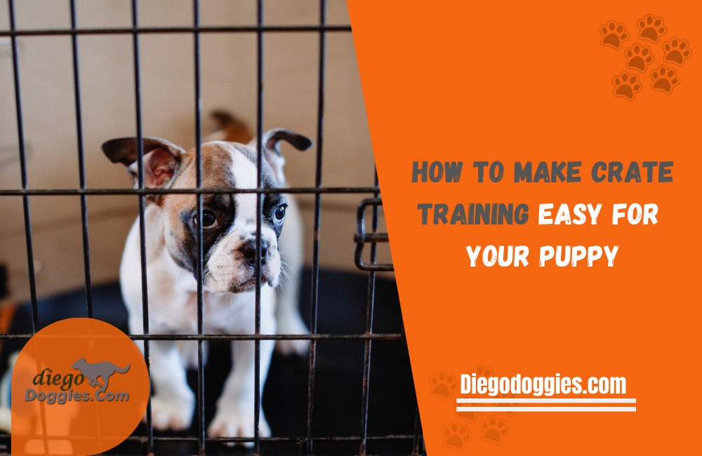 how to crate train a puppy