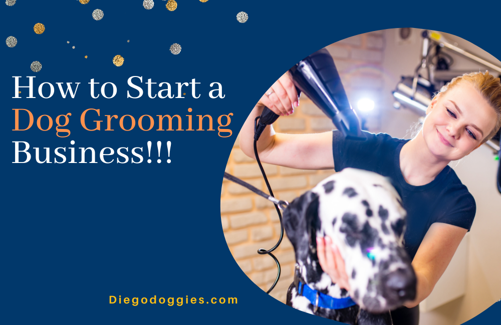 How to Start a Dog Grooming Business