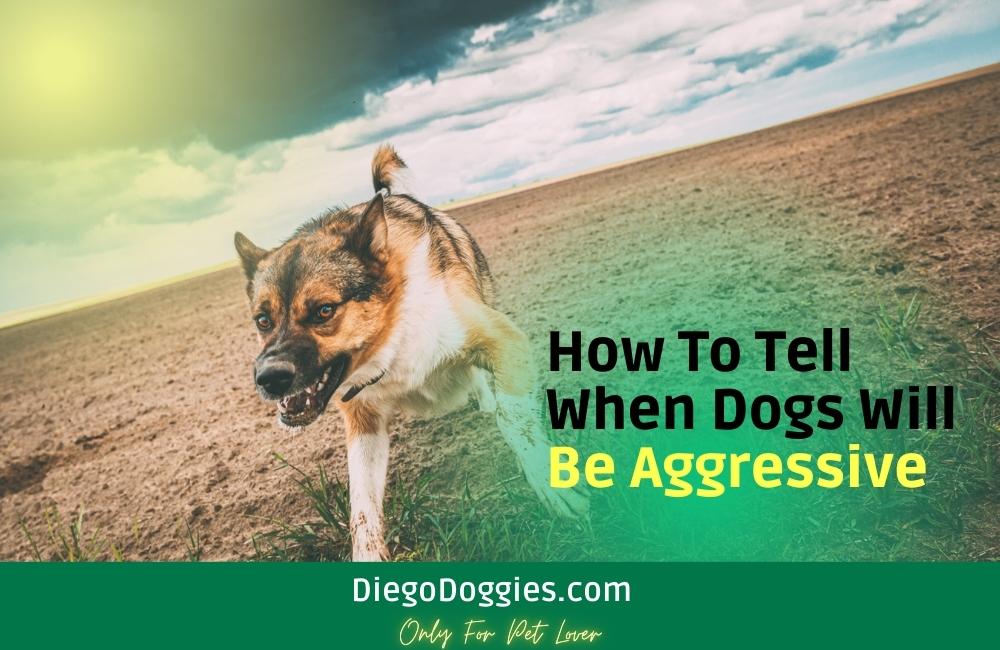 How to tell when dogs will be aggressive