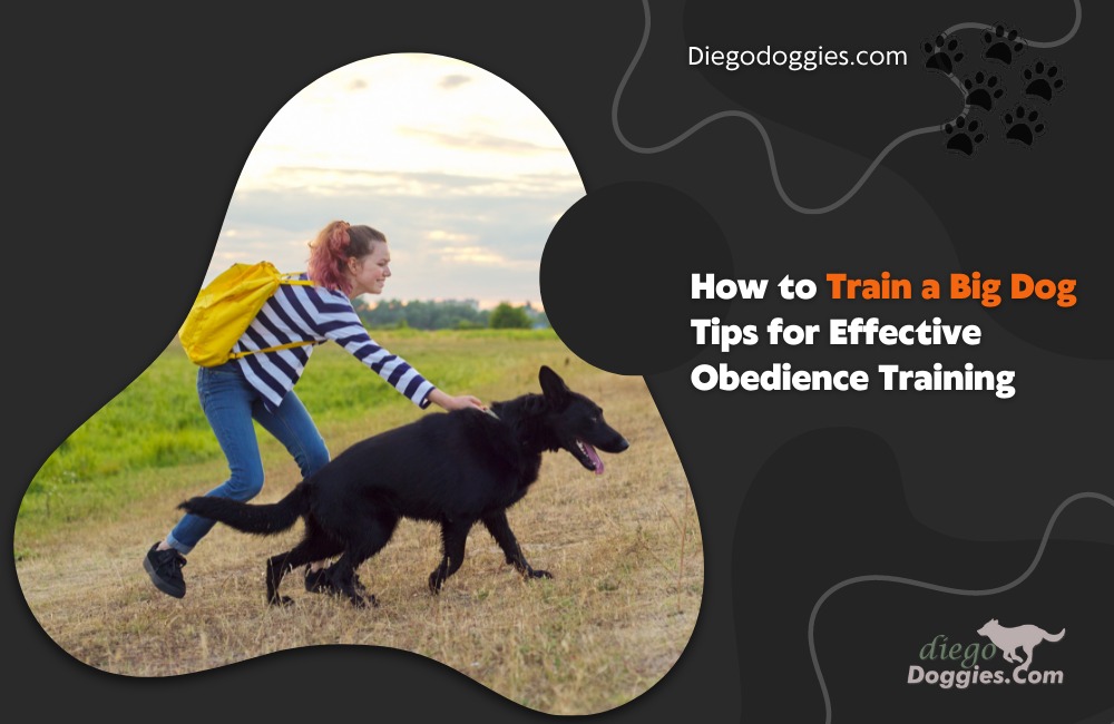 How to train a big dog