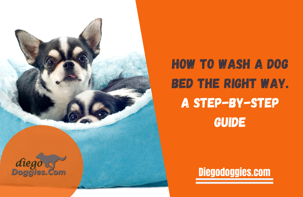 How to wash a dog bed