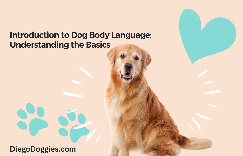 Introduction to Dog Body Language