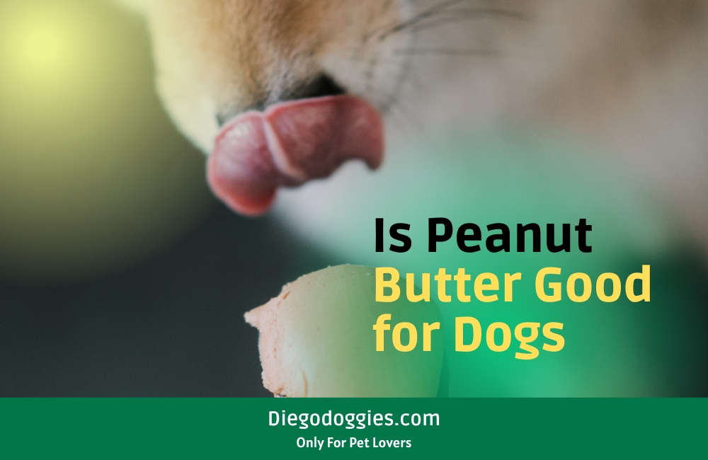 Can dogs eat peanut butter?