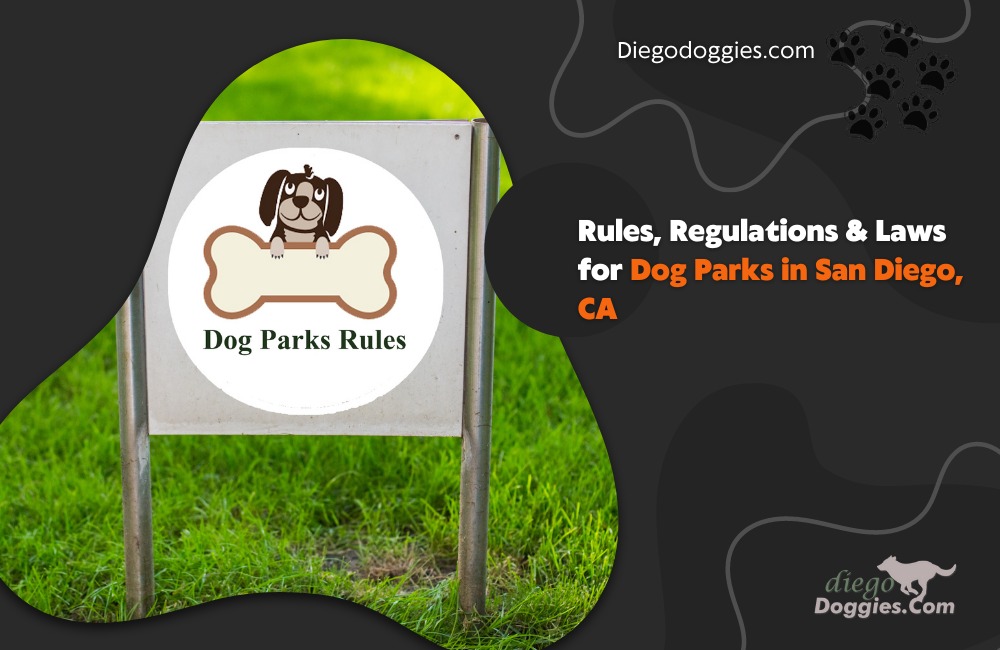 Laws for Dog Parks in San Diego