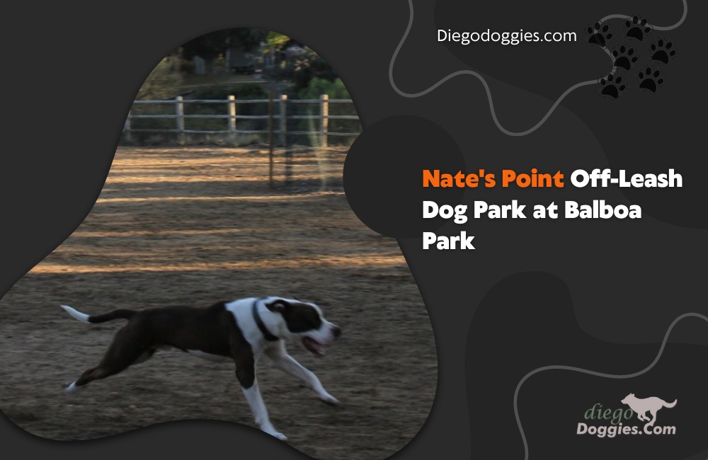 Nates Point Off-Leash Dog Park