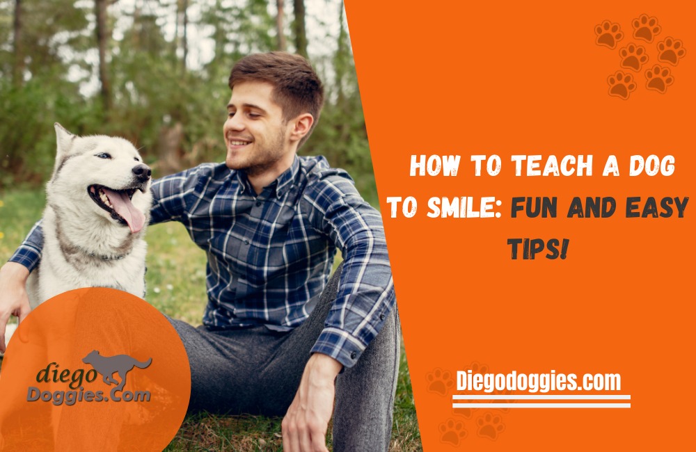Teach a dog to smile