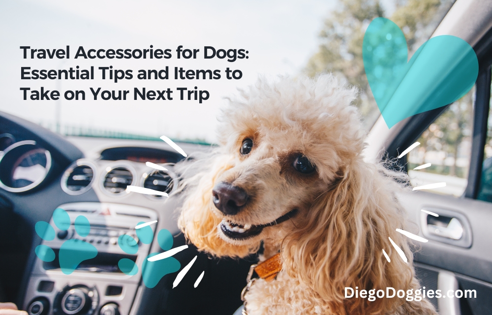 Travel-Accessories-for-Dogs