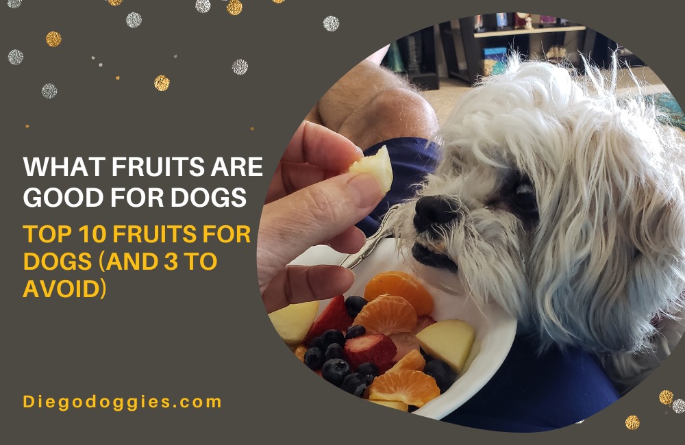 What fruits are good for dogs