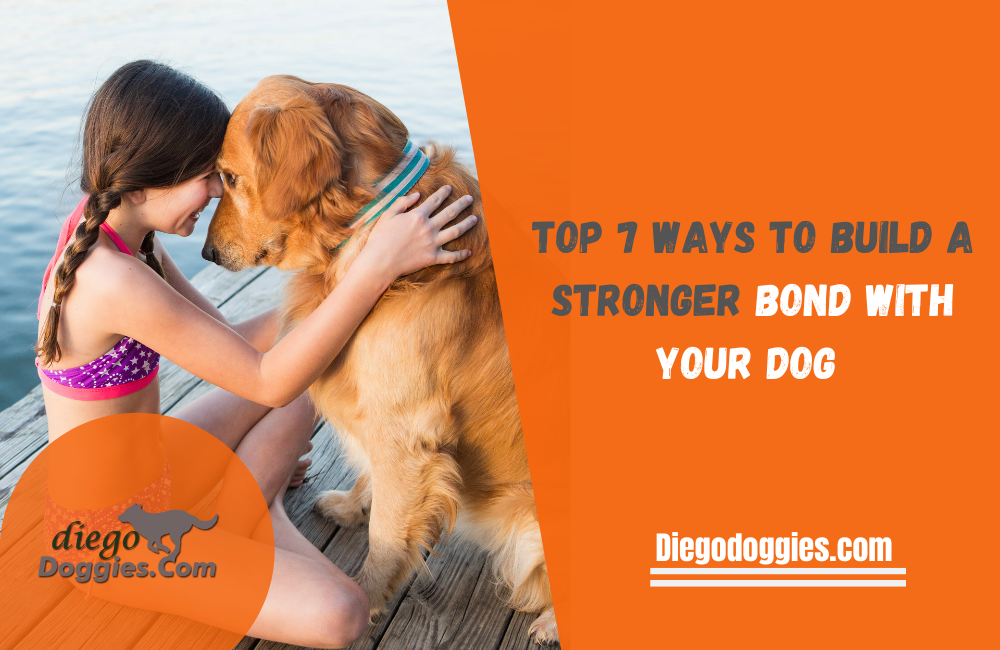 bond with your dog