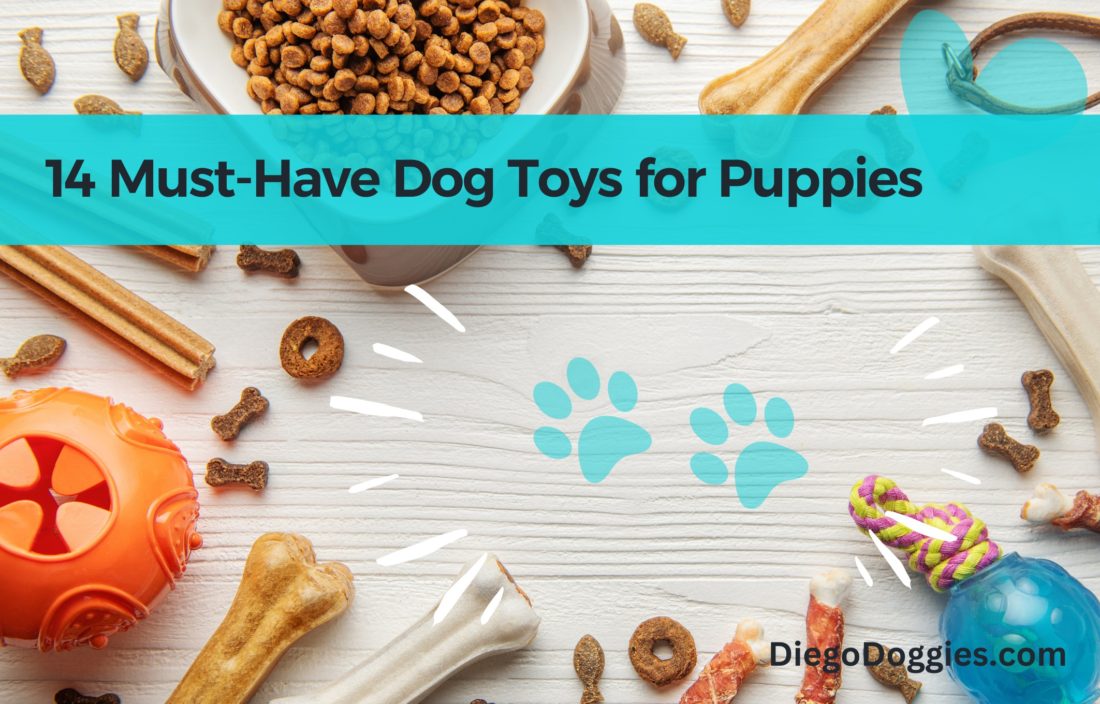 dog-toys-for-puppies