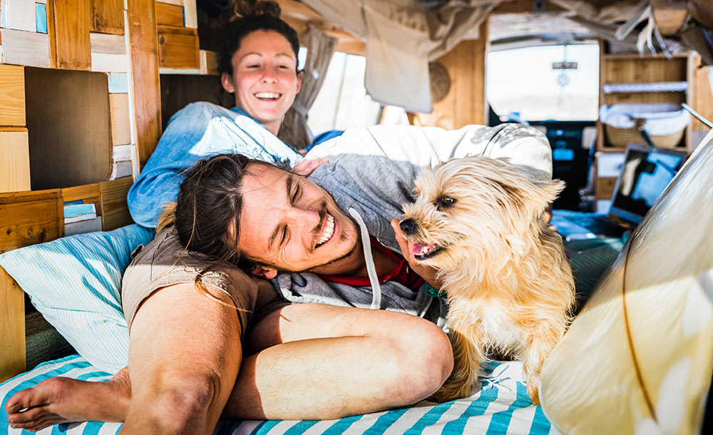 What to Consider in a Dogs for RV Living or Travel