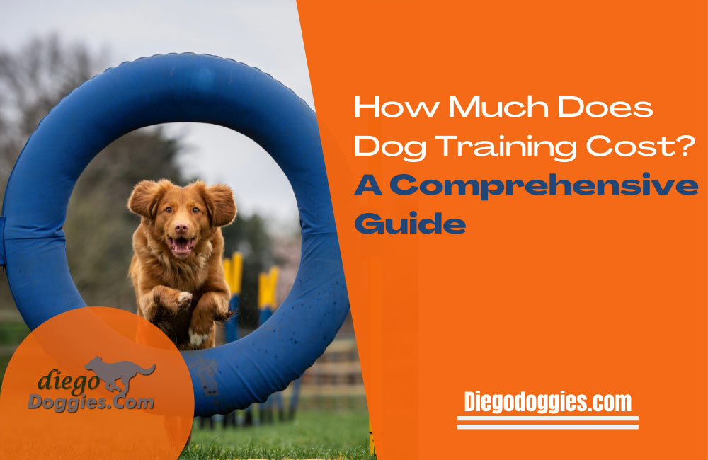 Keyword: how much dog training costs