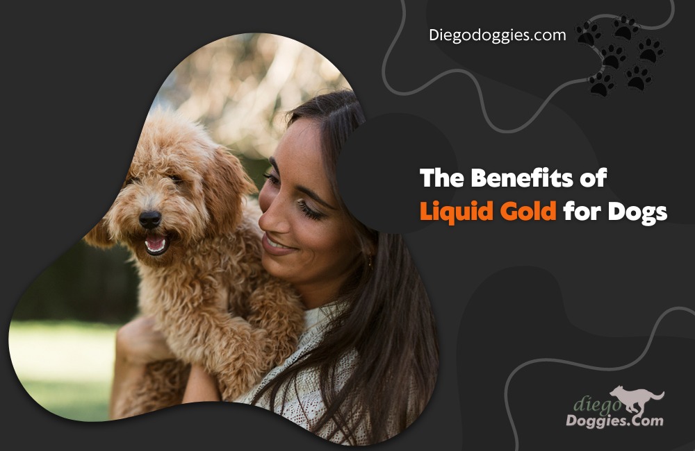 liquid gold for dogs