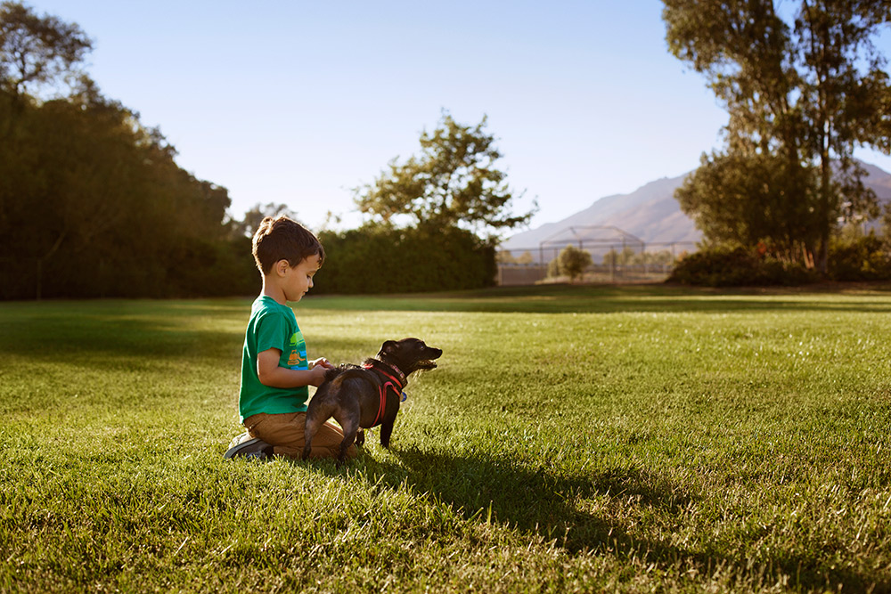 morley field dog park