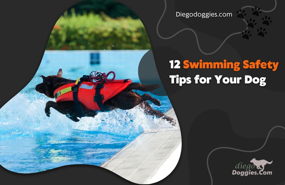 swimming safety tips