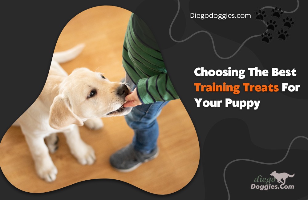 training treats for your puppy
