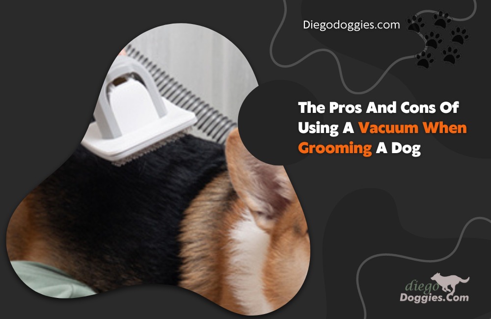 using a vacuum when grooming dog